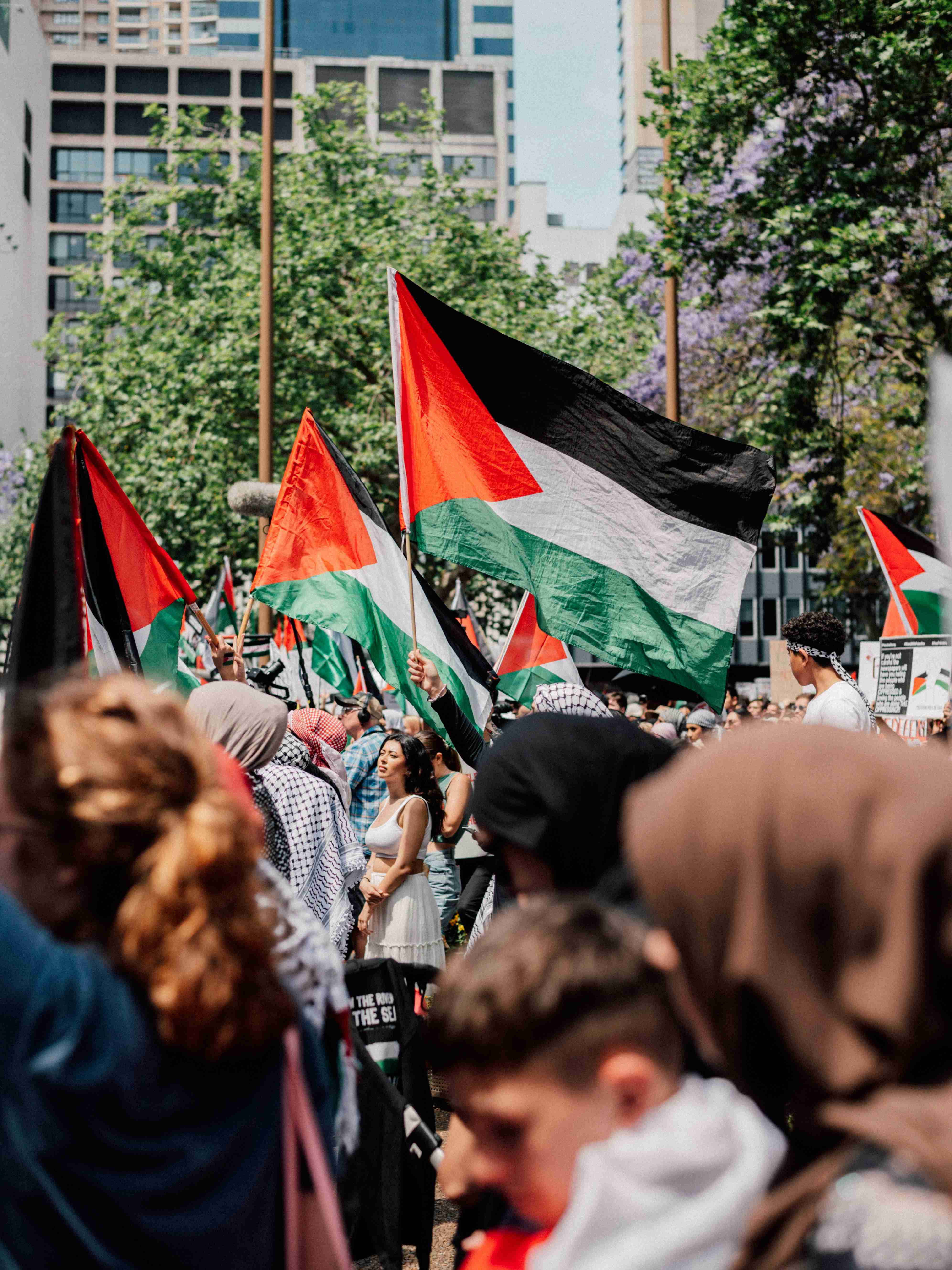 Project Palestine — field photo