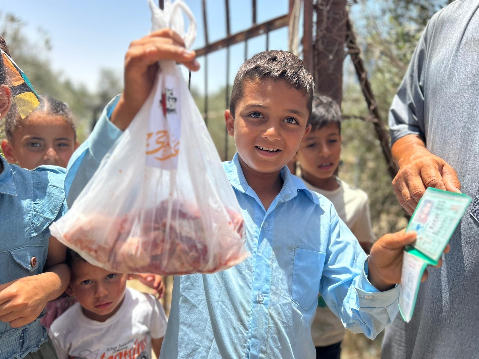 Project Palestine — update photo
